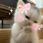 عکس کاربر - ♥︎Mahsa♡
