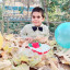 عکس کاربر - محمد امین موسایی 