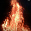 عکس کاربر - hamyd13677