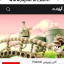 عکس کاربر - سحر سان