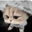 عکس کاربر - ฅ^•ﻌ•^ฅ