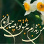عکس کاربر - محمدباقر مسعودپور 