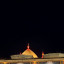 عکس کاربر - فاطمه حسین زاده