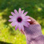 عکس کاربر - نازنین