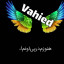 عکس کاربر - Vahied Mehnie