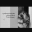 عکس کاربر - hesan.DEL