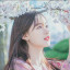 عکس کاربر - 박 로제