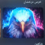 عکس کاربر - شاهین علیاری