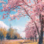 عکس کاربر - Raad