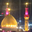 عکس کاربر - محمد حسن هنرمند 