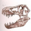 عکس کاربر - rexy . JP JW