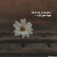 عکس کاربر - شیدا