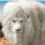 عکس کاربر - سلطان مهدی