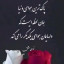 عکس کاربر - ahmadiuosef