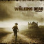 عکس کاربر - walking dead 2013