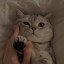 عکس کاربر - ...