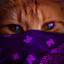 عکس کاربر - NINA0009