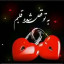 عکس کاربر - امیرحسین 