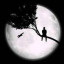 عکس کاربر - Amir __ M,♡
