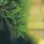 عکس کاربر - سجاد