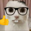 عکس کاربر - Nerd cat🤓