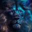 عکس کاربر - omid