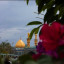 عکس کاربر - محمد حسین 