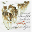 عکس کاربر - امیر حسین