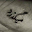 عکس کاربر - rasvl
