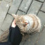 عکس کاربر - fatemeh.Com88