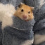 عکس کاربر - 🐹همستر🐹