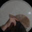 عکس کاربر - نیایش