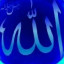 عکس کاربر - رسول گلوی