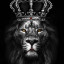 عکس کاربر - KING