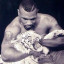 عکس کاربر - Mike Tyson