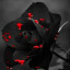 عکس کاربر - Reyhaneh