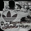 عکس کاربر - amirabas