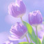 عکس کاربر - نیلی