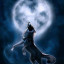 عکس کاربر - Black wolf