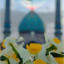 عکس کاربر - Setare