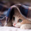 عکس کاربر - HANA (*^^*)