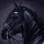 عکس کاربر - 🖤black horse 🖤