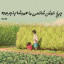 عکس کاربر - موید