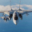 عکس کاربر - Tomcat