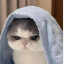 عکس کاربر - 고양이 유리