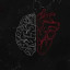 عکس کاربر - محمد حسین