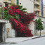 عکس کاربر - mohammadreza
