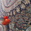 عکس کاربر - سبحان