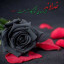 عکس کاربر - Raha