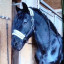 عکس کاربر - 🖤black horse 🖤